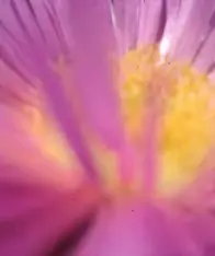 Map.ache - Electronic music DJ from Braamt