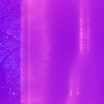 Essex - Electronic music DJ from London