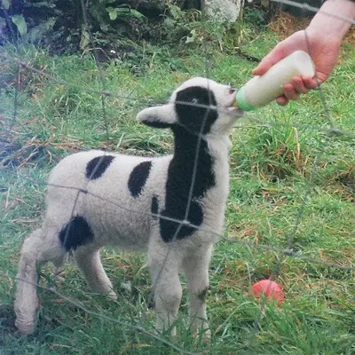 John T. Gast - Electronic music DJ from Berlin