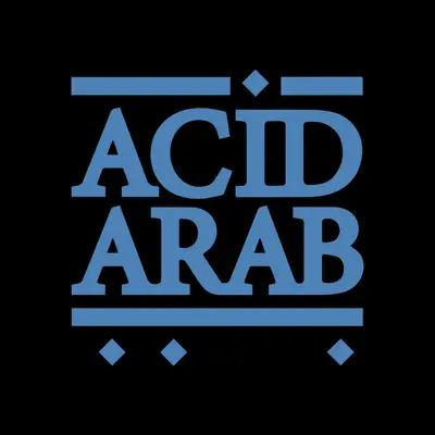 Acid Arab - Electronic music DJ from London