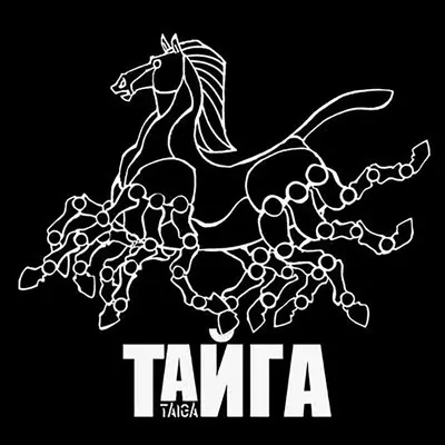 Taiga - Electronic music DJ from New York City