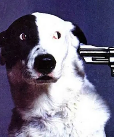 Shoplifter - Electronic music DJ from Brussels