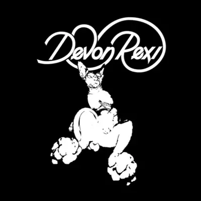 Devon Rexi - Electronic DJ