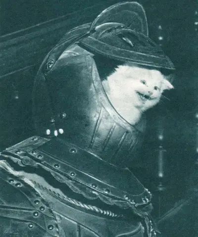 Nocturne - Electronic music DJ from Berlin