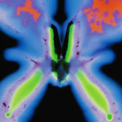 Jorg Kuning - Electronic music DJ from Berlin