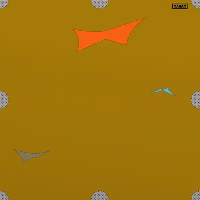 Makam - Electronic music DJ from Amsterdam