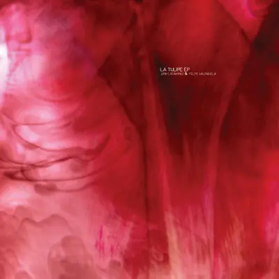 Felipe Valenzuela - Electronic music DJ from Madrid