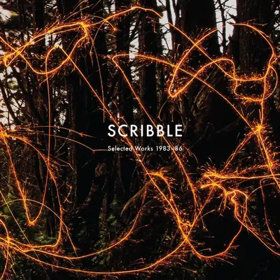 Scribble - Electronic music DJ from New York