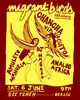 Migrant Birds presents: Chancha Via Circuito, Analog Africa, Amuleto Manuela & Dj Magräo