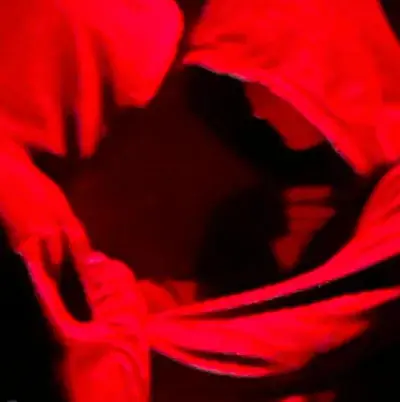 Dwam - EDM event at 90mil in Berlin