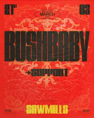 Bushbaby at Sawmills at Sawmills