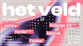 het veld: Echoes of Desire at Het Dorp