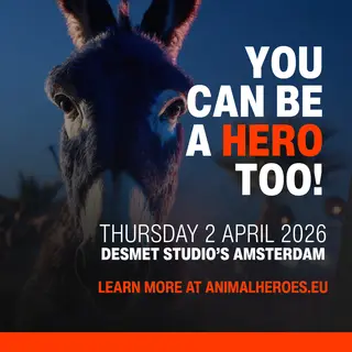 Dance4Heroes at Desmet Studios Dance4Heroes at Desmet Studios