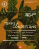 Terms & Conditions