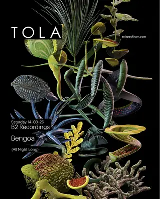 B2 Recordings with Bengoa at Tola B2 Recordings with Bengoa at Tola