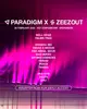 Paradigm x ZeeZout