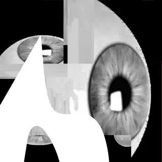 Cortex at Sensorium Cortex at Sensorium