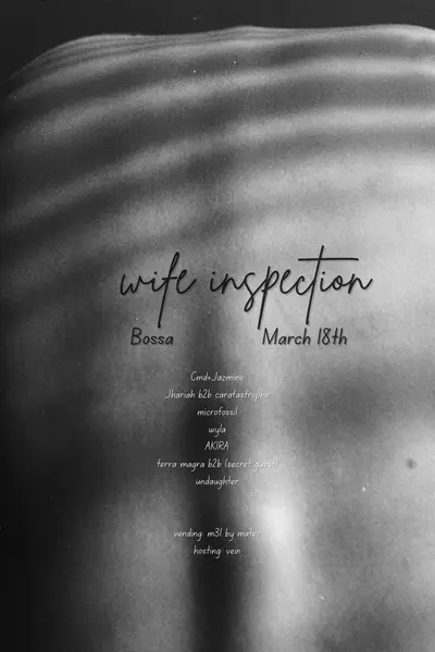 Wife Inspection - EDM event at Bossa Nova Civic Club in New York City
