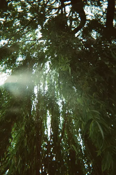 elisanyhm - EDM event at migas, a listening bar in Berlin