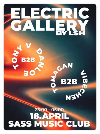Electric Gallery by LSH at SASS Music Club Electric Gallery by LSH at SASS Music Club