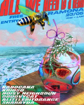 All we need is a Beach at Ramona