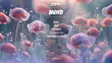 MIND: TESTPRESS, Trancemaster Krause, Elotrance & MORE thumbnail