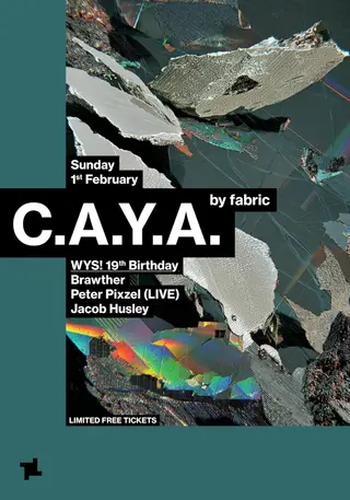 CAYA by fabric: WYS! 19th Birthday - Brawther, Peter Pixzel (LIVE), Jacob Husley at fabric