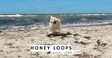 Honey Loops thumbnail