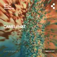 Teksupport: CamelPhat (Experience) thumbnail Teksupport: CamelPhat (Experience) thumbnail