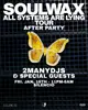Soulwax AFTERPARTY: 2MANYDJS, SoMe & GUESTS