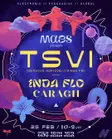 MASS presents TSVI thumbnail