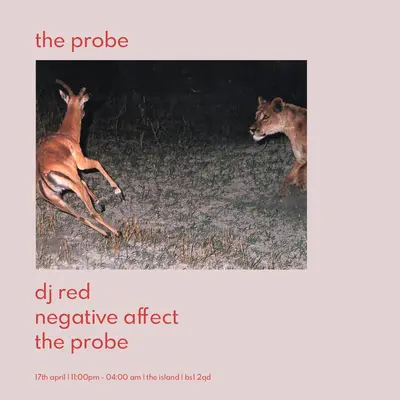 DJ Red, Negative Affect, and Probe DJs DJ Red, Negative Affect, and Probe DJs - EDM event at The Island in Bristol