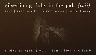 Silverlining Dubs in the Pub (xvii) at The Lion and Lamb