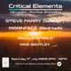 Critical Elements Summer Party