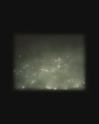 Ben Kaczor - 'Sirene' - Record Release (St. Odes) at Ikii