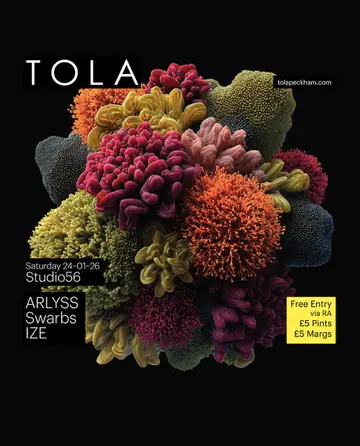 Studio56 with ARLYSS at Tola Studio56 with ARLYSS at Tola