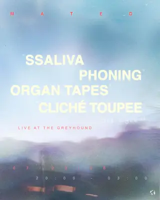 Ssaliva, Organ Tapes, Phoning, Cliché Toupee - live at The Greyhound