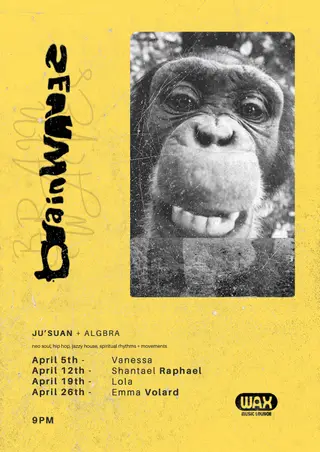 BRAINWAVES featuring LOLA at Wax Music Lounge BRAINWAVES featuring LOLA at Wax Music Lounge