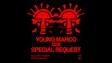 KOKO Electronic: Young Marco B2B Special Request thumbnail