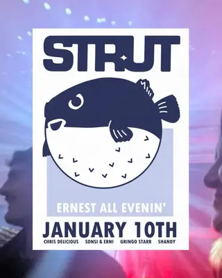 STRUT at Ernest STRUT at Ernest