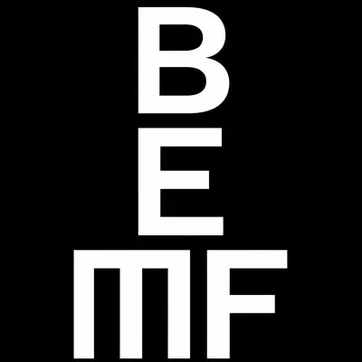 Brooklyn Electronic Music Festival Brooklyn Electronic Music Festival - EDM event at 314 Scholes in New York