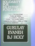 Solidarity Fundraiser for Palestine thumbnail