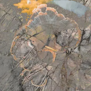 Carrier live A/V & Panchronics A/V at Communale Saint-Ouen Carrier live A/V & Panchronics A/V at Communale Saint-Ouen