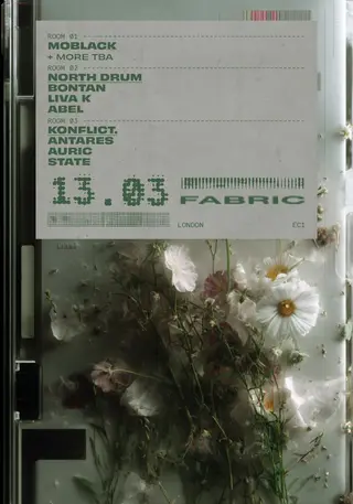 fabric: MoBlack, Bontan, Liva K, ABEL, Antares, Auric, STATE at fabric