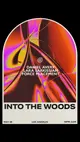Into The Woods presents Daniel Avery