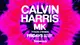 Calvin Harris & MK