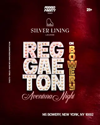 REGGAETON on Bowery - AVENTURA NIGHT Party NYC at Silver Lining Lounge