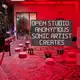 Anonymous Sonic Artist Creates - Open Studio