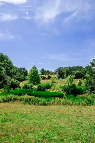 Dancing Family Festival 2026 at Three Pools Dancing Family Festival 2026 at Three Pools