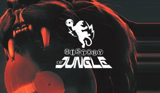 The History of Jungle at HERE The History of Jungle at HERE